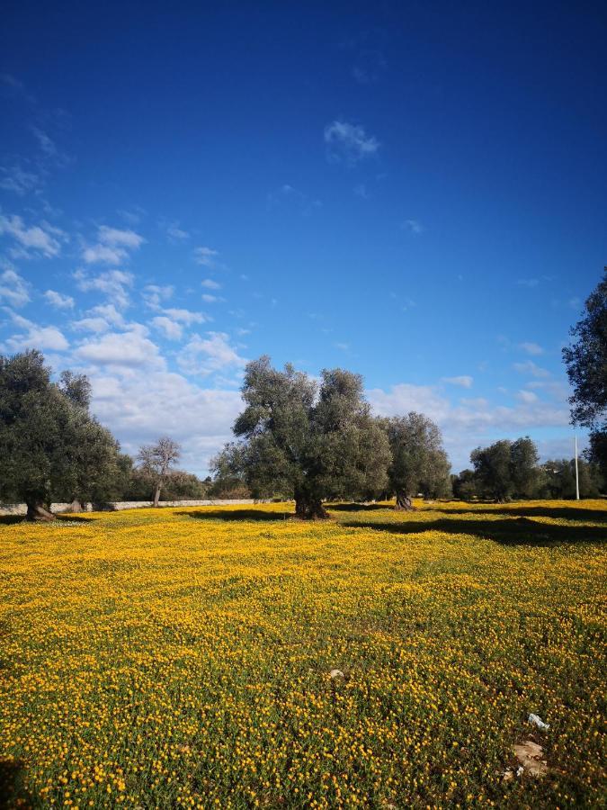 Holiday home Le Dimore Di Mama Ceglie Messapica